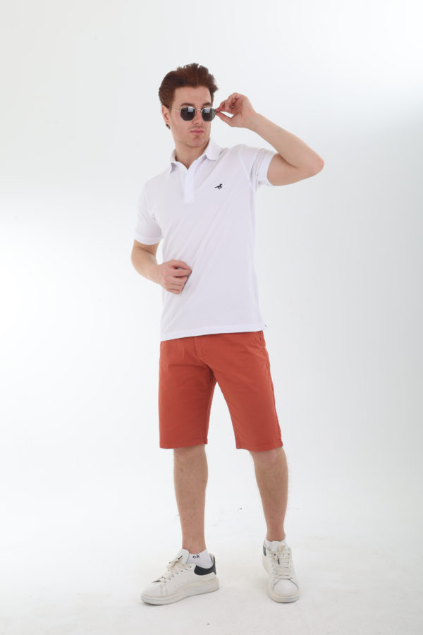 Polo – Image 2