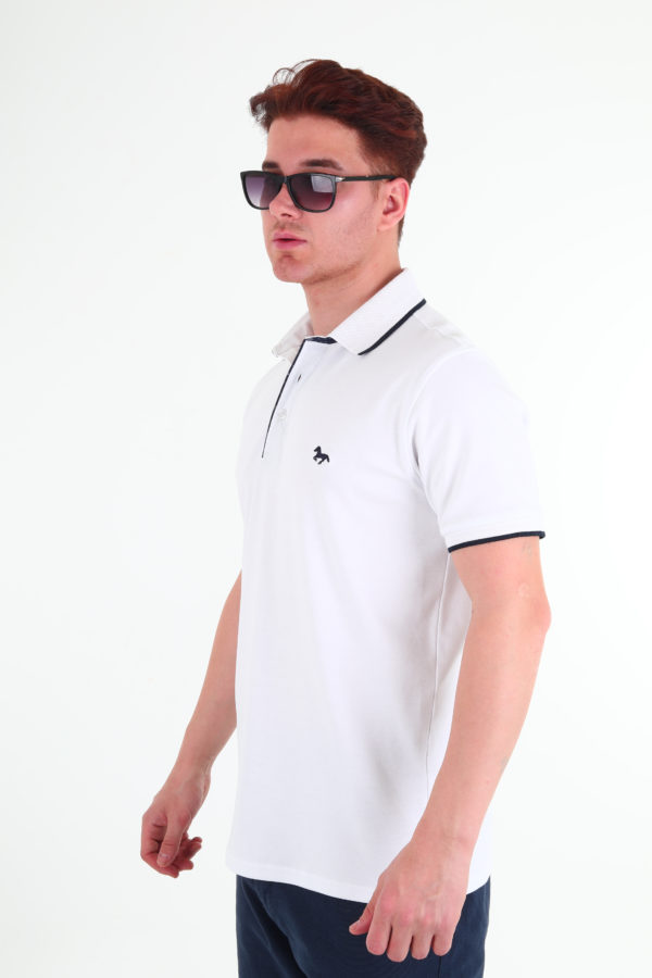 Polo – Image 3
