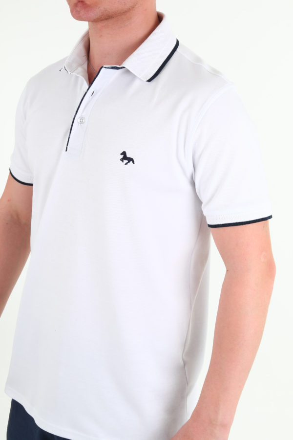Polo – Image 4